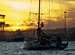A new day breaks for Azzam. Credit Tim Stonton/Volvo Ocean Race
