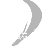 Volvo Ocean Race